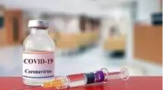 ABD'li ilaç devi Pfizer, koronavirüs aşısının yıl sonuna kadar piyasaya sürülebileceğini söyledi