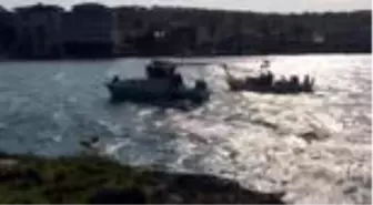 Ayvalık'da adalar temizlendi