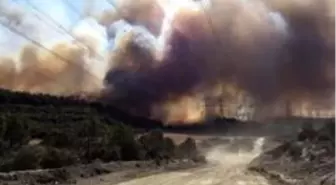 Gelibolu'daki yangın şiddetli rüzgarın etkisiyle büyüyor