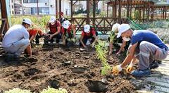 Atakum Belediyesi AtaTohum'da ilk üretim tamamlandı