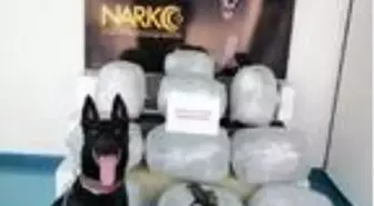 'Uzi', TIR'daki 46 kilo 250 gram esrarı buldu