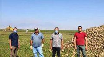 Yeşilhisar'da pancar hasadı başladı
