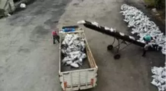 35 bin ton taşkömür ihtiyaç sahibine ulaştırılacak