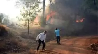 Son dakika haberi! Antalya'da orman yangını