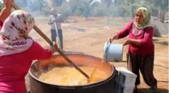 Üzümün bağlardan, damlara lezzetli yolculuğu