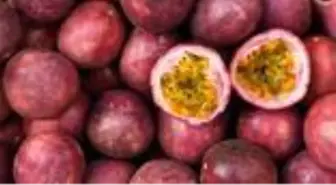 Çarkıfelek meyvesi nedir? Çarkıfelek meyvesi faydaları neler?