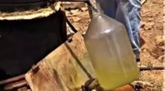 Kara kazandan gelen doğal şifa