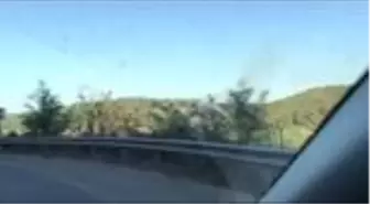 Beykoz'da ormanlık alanda çıkan yangın söndürüldü