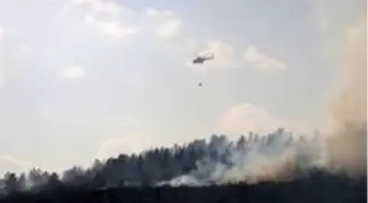 Bolu'da yangın 40 hektarlık alanda etkili oluyor