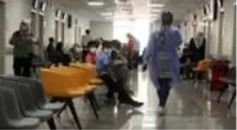 Kene tehlikesi devam ediyor