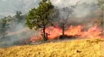 Son dakika haberi... Elazığ'da orman yangını