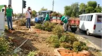 Nazilli Belediyesi 10 ayrı noktada temizlik çalışması gerçekleştirdi