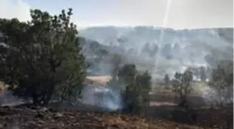 Son dakika haberi... Arıcak'taki orman yangını söndürüldü