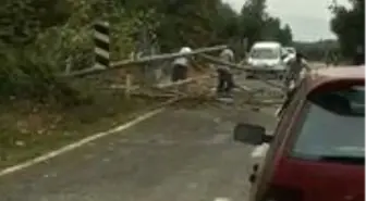 Bursa'da rüzgar ağaçları devirdi, yol trafiğe kapandı