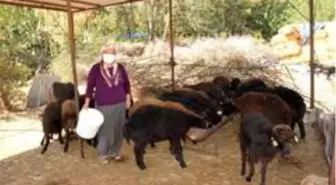 'Haydi Gel Köyümüze Destek Verelim Projesi' kadınların ve gençlerin umudu oldu