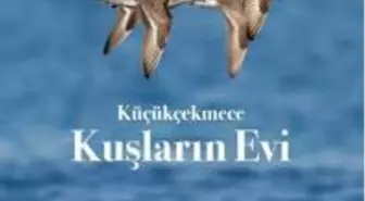 Küçükçekmece Belediyesinden, 'Küçükçekmece kuşların evi' eseri