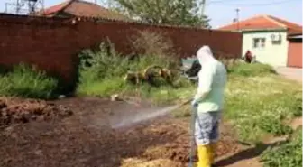 Efeler Belediyesi ilaçlama çalışmalarına devam ediyor