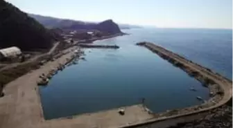 Palamut küstü, fiyatlar yükseldi