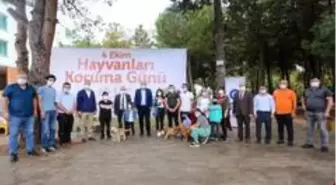 Canik Belediyesi'nden hayvan hakları etkinliği