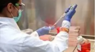 İngiltere'de yeni araştırma! 26 hayvan türü insanlara koronavirüs bulaştırabilir