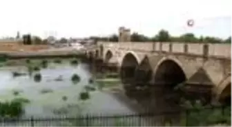 Edirne'de Tunca Nehri yeşile büründü