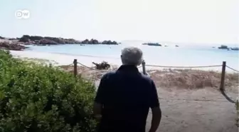 Adada tek başına | Tek yoldaşı iki tavuk