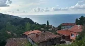 Kastamonu'da bir köy karantinaya alındı