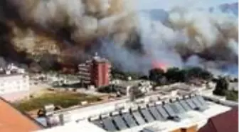 Son Dakika: Hatay'da orman yangını! Alevler yerleşim yerlerine sıçradı, evler tahliye edildi