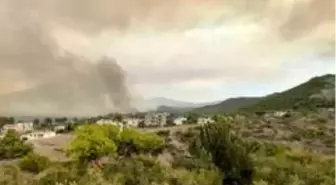 Son dakika haberleri... Suriye'de orman yangını çıktı, dumanı Samandağ'ı kapladı