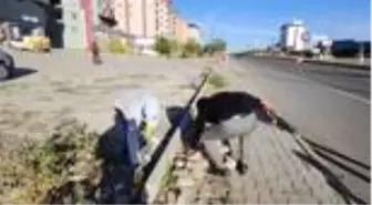 Başkan Sayan, pandemi döneminde çöp toplayarak farkındalık oluşturdu