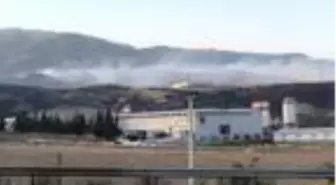Son dakika haberleri | Hatay'da yerleşim yerleşim yerlerine de sıçrayan orman yangını söndürmek için...