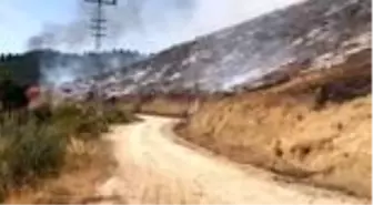 Kahramanmaraş'taki orman yangını sürüyor