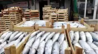 Su ürünleri denetimleri yapılıyor