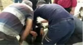 Son Dakika | Trafik kazası: 2 yaralı