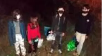 Uşak'ta, yaşları 13- 15 arasında 4 çocuk polis tarafından ormanda bulundu