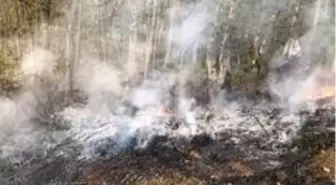 Ormanda çıkan yangına müdahale eden bir kişi, yanarak hayatını kaybetti