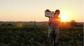 Dünya Kadın Çiftçiler Günü nedir, ne zaman kutlanır? Dünya Kadın Çiftçiler Günü mesajları, sözleri