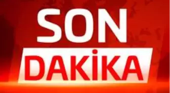 Son dakika! Şırnak'ta 2 terörist etkisiz hale getirildi