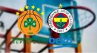 Panathinaikos Fenerbahçe Beko maçı ne zaman? Panathinaikos - Fenerbahçe maçı hangi kanalda?