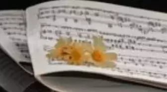 Ezhel ve Ufo361'in Wir Sind Kral sözleri nelerdir? En güzel Wir sind kral sözleri hangileridir?