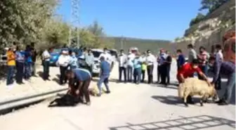 Silifke-Mut Karayolu onarılarak yeniden trafiğe açıldı