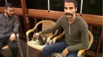 Bağcılar'daki kedi saldırısının görgü tanıkları konuştu