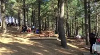 Karlıtepe Mesire Alanı sonbaharda da vatandaşların tercih ettiği yerler arasında oldu