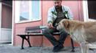 Köpeğe bisküvi uzatıp, 'Beni seviyorsan yersin' dedi