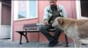 Köpeğe bisküvi uzatıp, 'Beni seviyorsan yersin' dedi