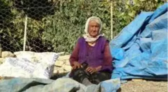 Madende oğlunu, Covid-19'dan eşini kaybeden Ayşe Gökçe: 'Gittiler hep, beni götürmediler'