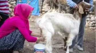 'Haydi Gel Köyümüze Destek Verelim Projesi', kadınların umudu oldu