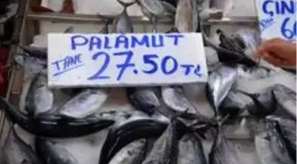 Sinop'ta palamut küstü, fiyatlar uçtu