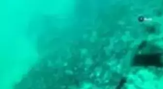 Hitlerin kayıp deniz altısındaki hayalet ağlar temizleniyor