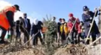 Elazığ'da sağlık çalışanları için hatıra ormanı